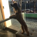 대치수동물병원 이미지