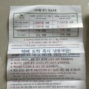네이월 펫푸드 네이버블로그