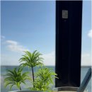 성산청과 이미지