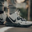 헬시플레저 이미지