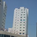 디자인동은 네이버블로그