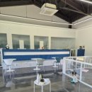 리츠펫 선물 | 이천 리츠펫 강아지와 뛰어놀기 좋은 리츠펫 선물 방문 후기