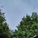 삼각동행정복지센터 이미지