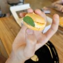 고다아뜰리에 | 제주 아이와 가볼만한곳. 제주 애월 '토토아뜰리에' 감귤 마카롱 & 타르트 베이킹 내돈내산 체험 솔직후기