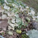 중문예촌 이미지