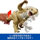 렉스