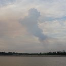 루우루우 이미지