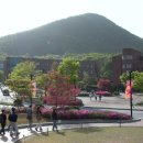 아침별 남부&여성의원 이미지