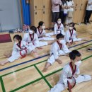 성산 코리아 태권도 이미지