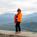 사랑코트 이미지