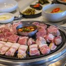국수면돼지 이미지