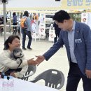 우리동네 펫 이미지