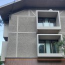 소나무향기 이미지