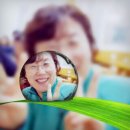 현규 이미지