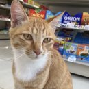 GS25 한림옹포점 이미지