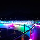 아라마루 이미지