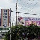 원재네포도밭