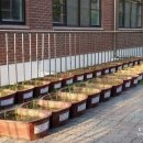 대전매봉초등학교 이미지