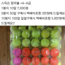1더즌 21000원 가격실화임!(2018년 엑스페론비비드 새볼, 칼라로스트볼+A~A, 고급반양피장갑) 이미지