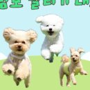 올바른참견 이미지