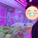 Y모텔(와이모텔) | 여행] 부산 2박 3일 뚜벅이 커플 여행 1 / 밀락더마켓 / 포니필름 / 부산 광안리 Y / 와이 모텔 / 내돈내산