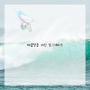 한그릇요리 이미지