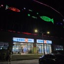 파도대게 | [강원도] 속초 대게 수율 최상! 청호활어회센터 대게 내돈내산 후기