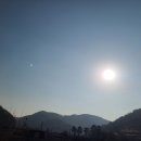 아침에 바빴다 이미지