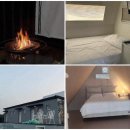 [신규]바이올린 | 가평 애견동반 글램핑, 바이올린에서 제대로 힐링한 후기🎻🐾