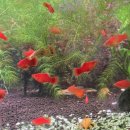 이선생토스트 이미지