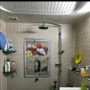 삼성장미 이미지