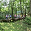 토함산 자연휴양림 이미지