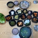 하동우리들병원 | 부산 동아대병원 할매집밥 손맛 가득 내돈내산 하동재첩국, 수육 백반 후기