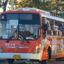 웅천농협주유소 이미지