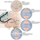 뉴론의 변화 이미지