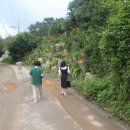 주남오리알 이미지