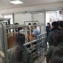 양성축산 이미지