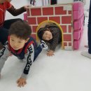 한국체대 태권도 스쿨 이미지