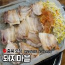 마을오리 이미지