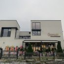 퀘렌시아 애견 이미지