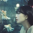 모스카페 이미지