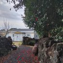 일해초밥 | [제주 표선 숙소] 북스테이 독채민박 초 후기