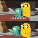비모 이미지