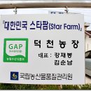 엑스포로민박