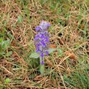 공유행정사사무소 이미지