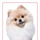 부일로113번길 이미지