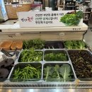 백운애꽃 네이버블로그