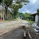 호동이농장 이미지