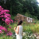 슬립인더가든 이미지