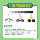 안경상회 이미지